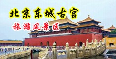 黄色操毛视频中国北京-东城古宫旅游风景区